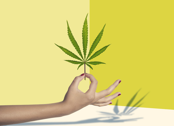 Are women turning to cannabis for menopause symptom relief? A survey offers a glimpse into cannabis and CBD use among women in midlife.